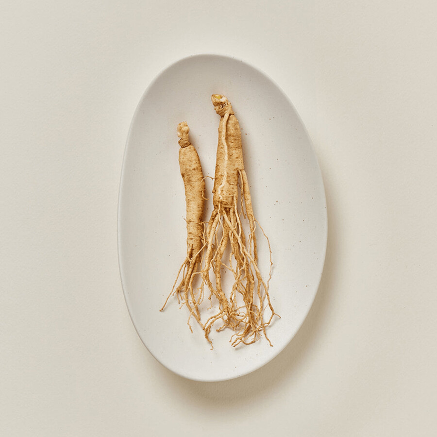 ginseng feuchtigkeitsserum für den sonnenschutz spf 50 pa